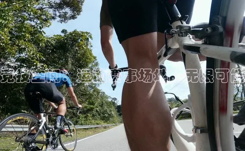 竞技空间：运动赛事场地的无限可能